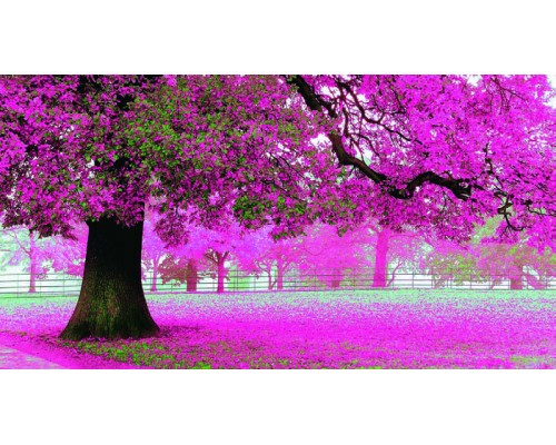 Desk Calendar DC 5